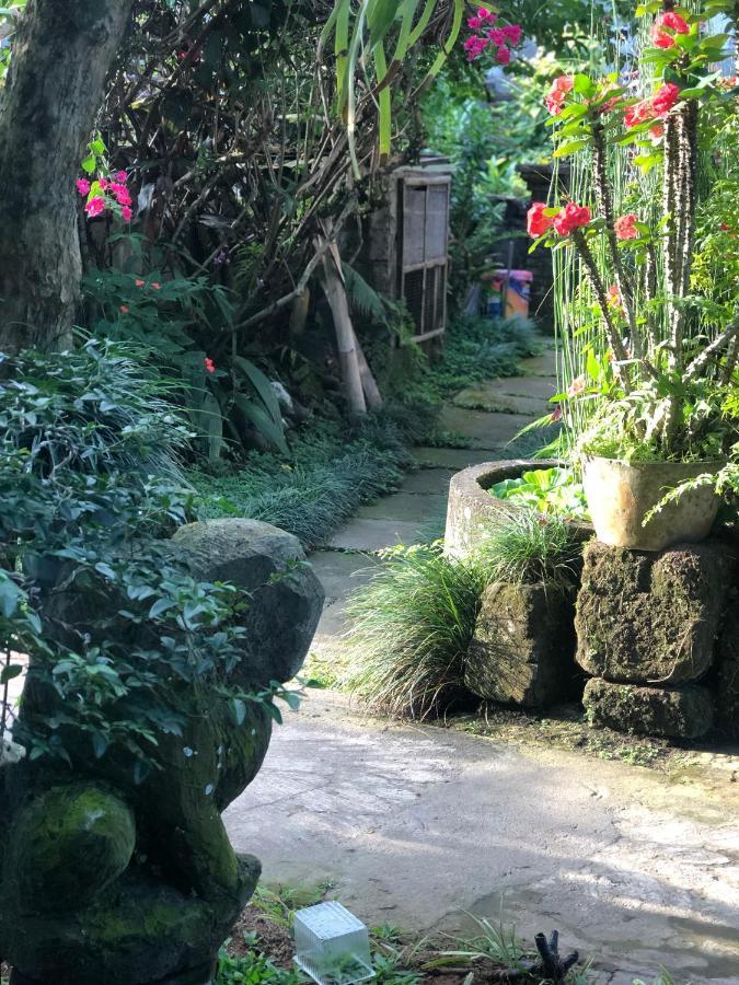 The Hidden Bali Inn Ubud  Bagian luar foto