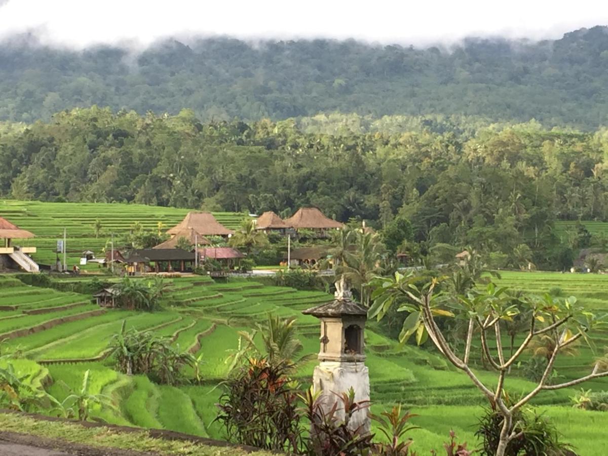 The Hidden Bali Inn Ubud  Bagian luar foto